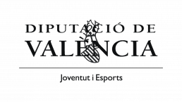 logo diputacion valencia